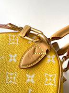 Louis Vuitton yellow monogram handbag top handle with gold hardware and leather strap