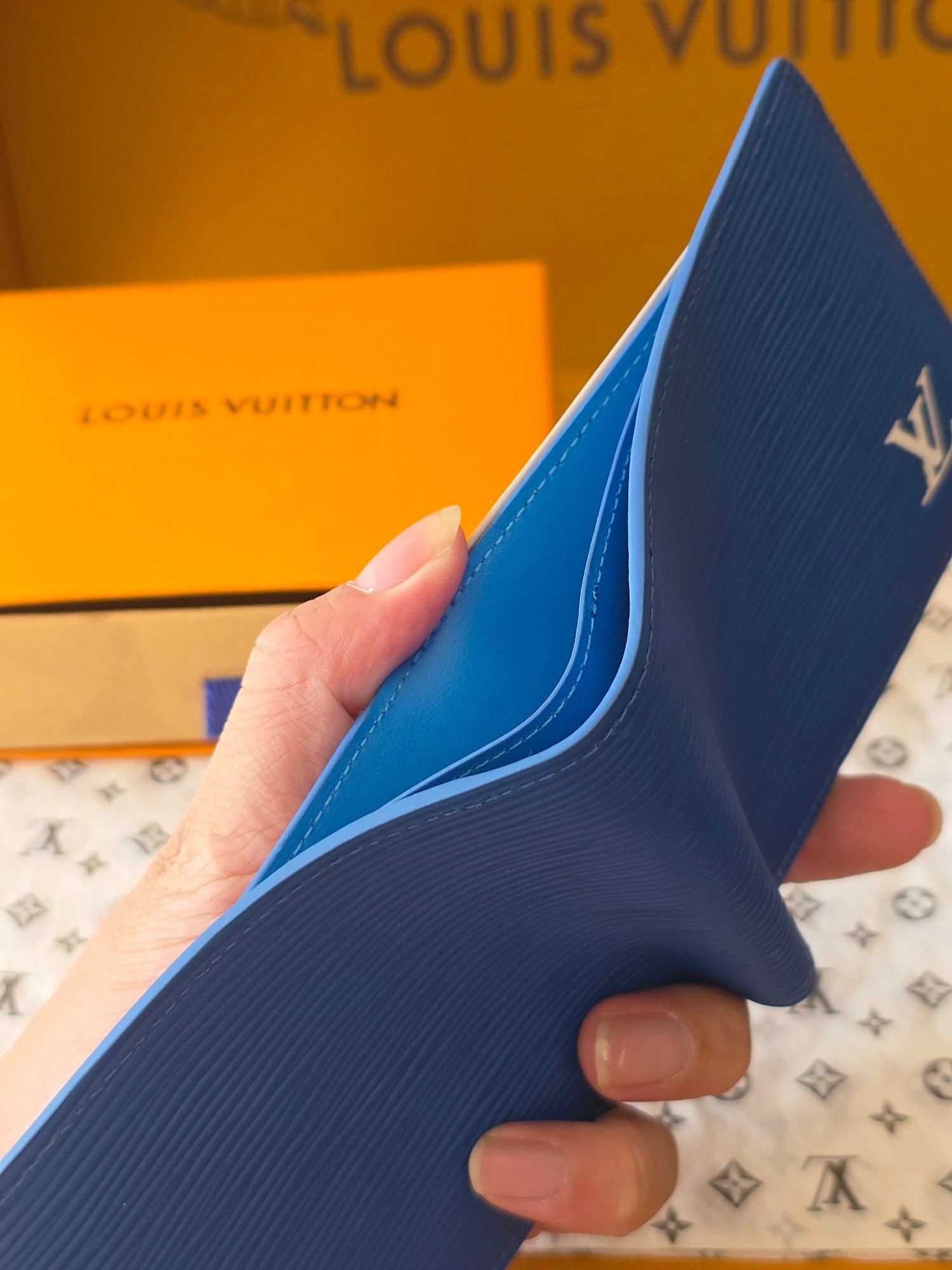 Louis Vuitton Bags