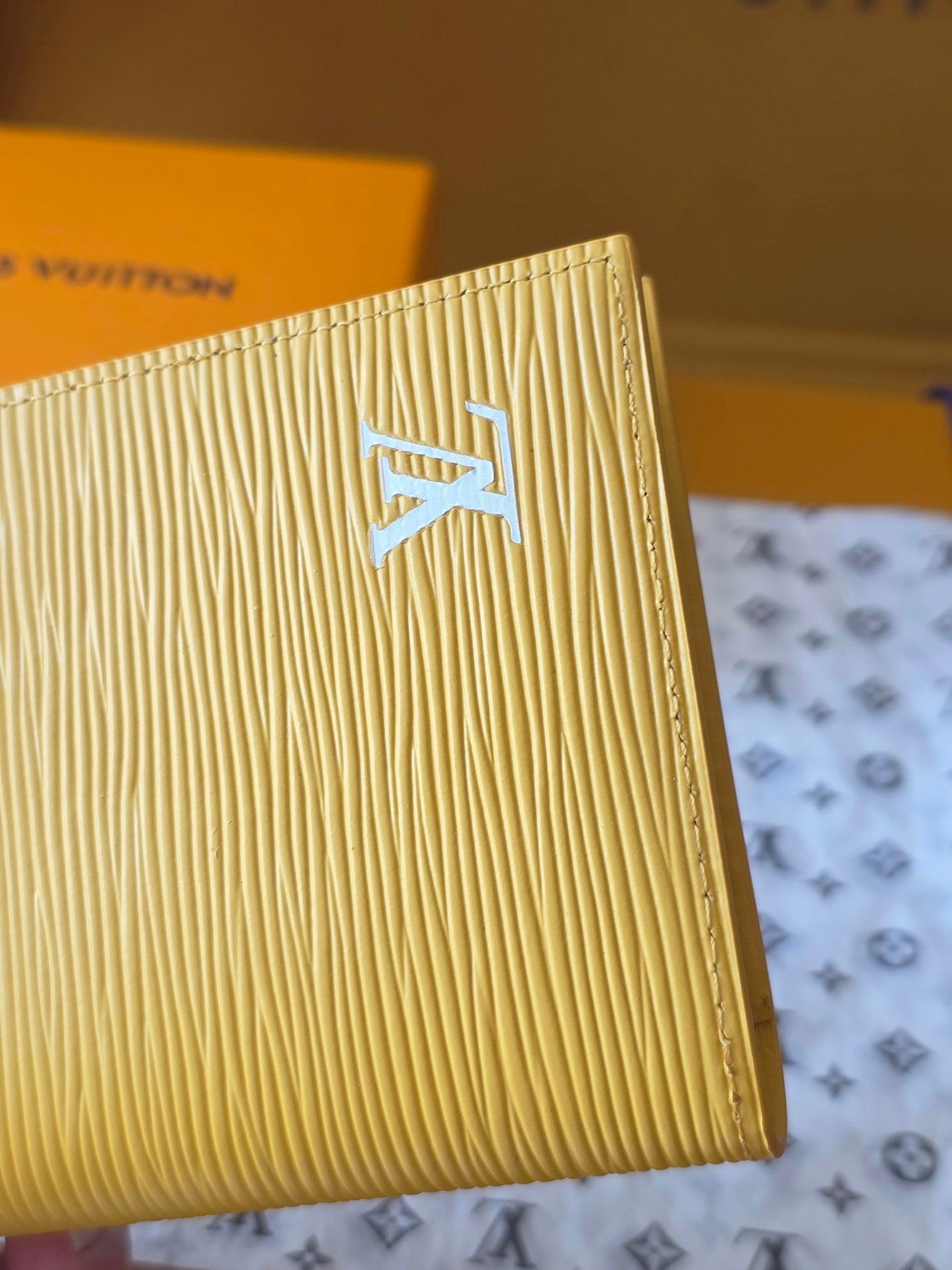 Louis Vuitton Bags