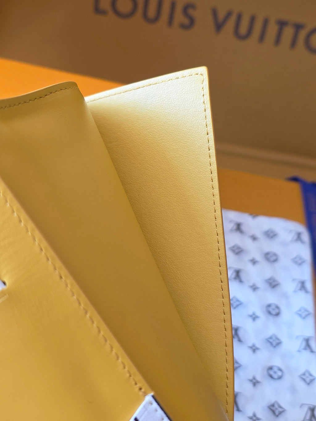 Louis Vuitton Bags