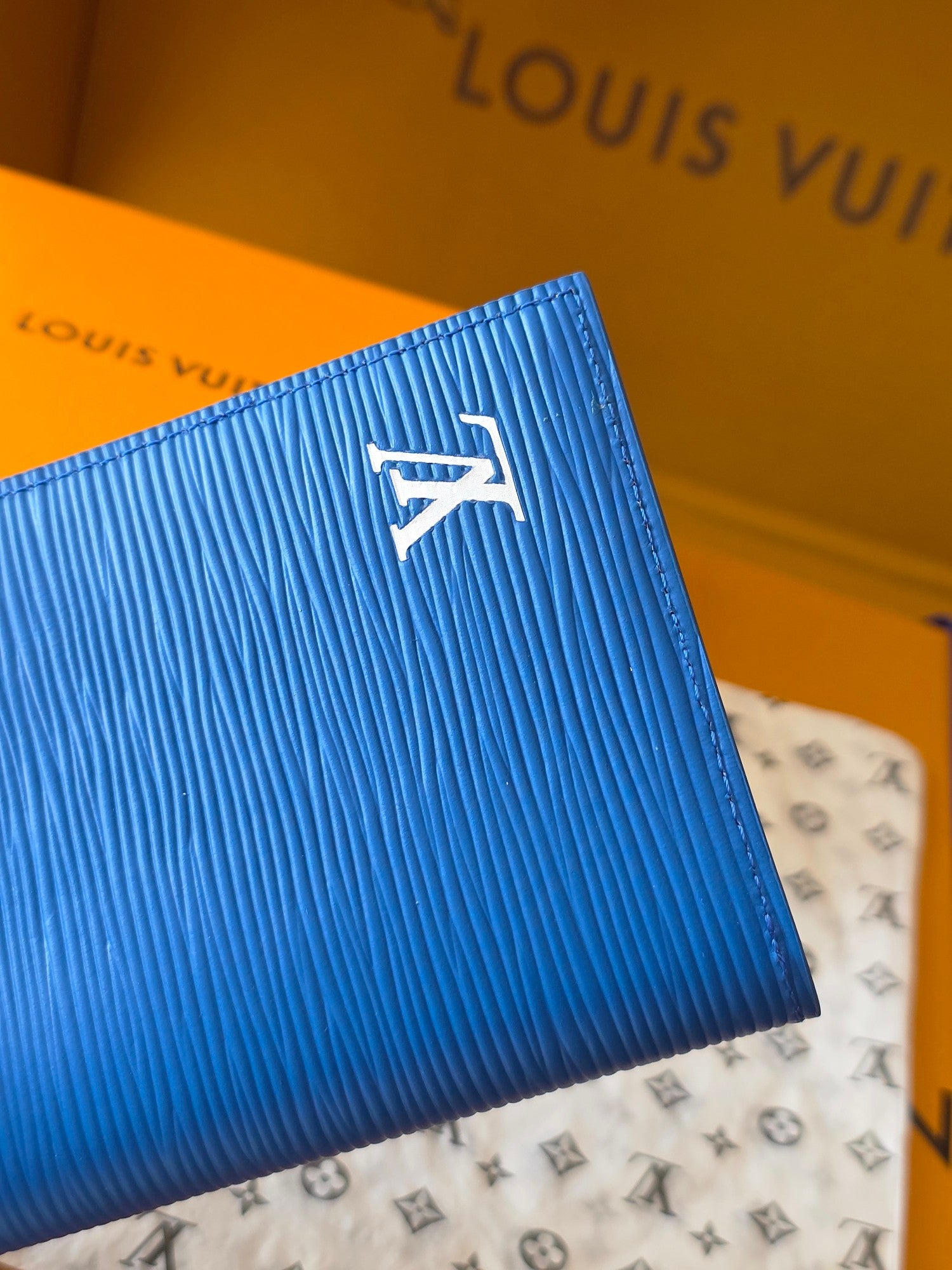 Louis Vuitton Bags