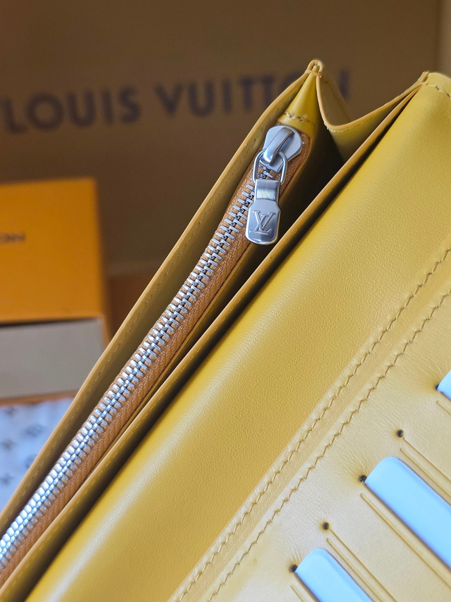 Louis Vuitton Bags