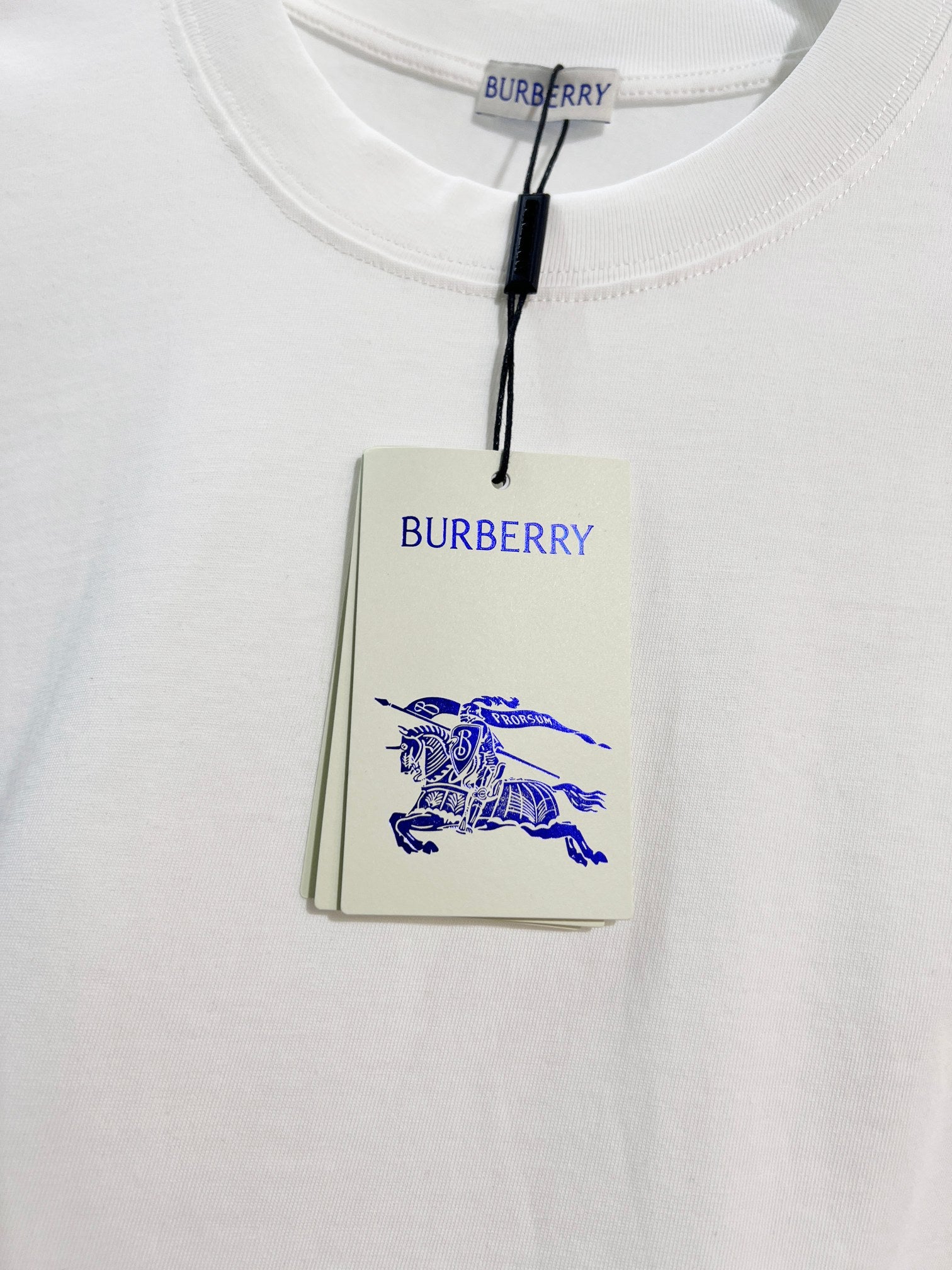 Burberry short-sleeve T-shirt with blue horse graphic on hang tag