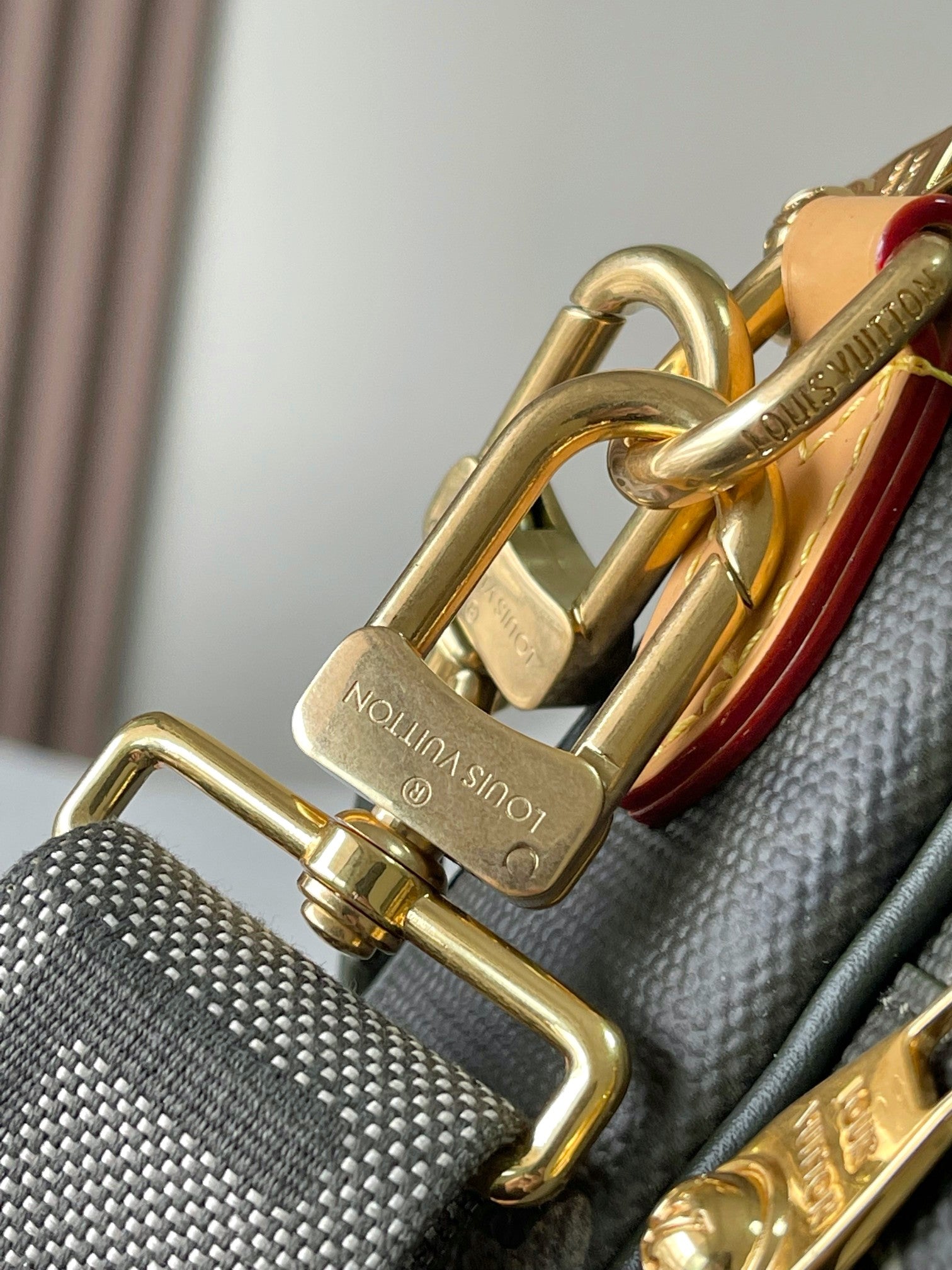 Louis Vuitton bag hardware close-up: gold-tone D-rings and monogram metal tag