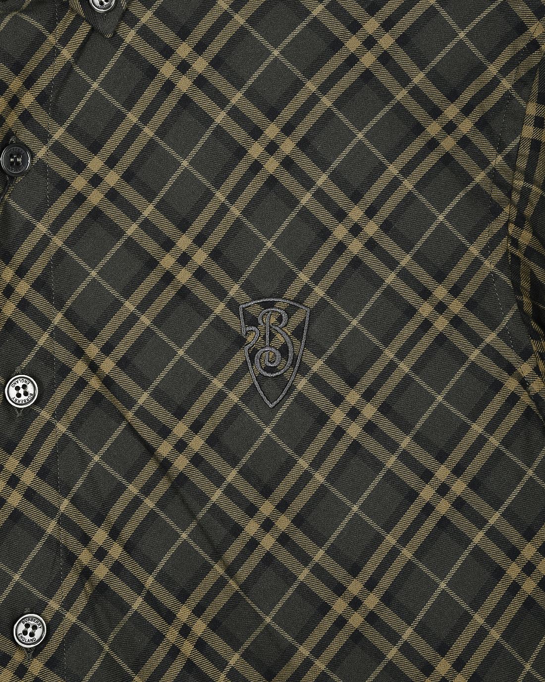 Plaid button-up shirt detail, dark green and yellow grid, crest embroidery near chest