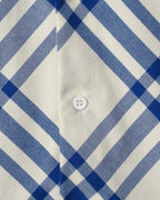 Plaid shirt front detail with button at center and blue-and-white check pattern