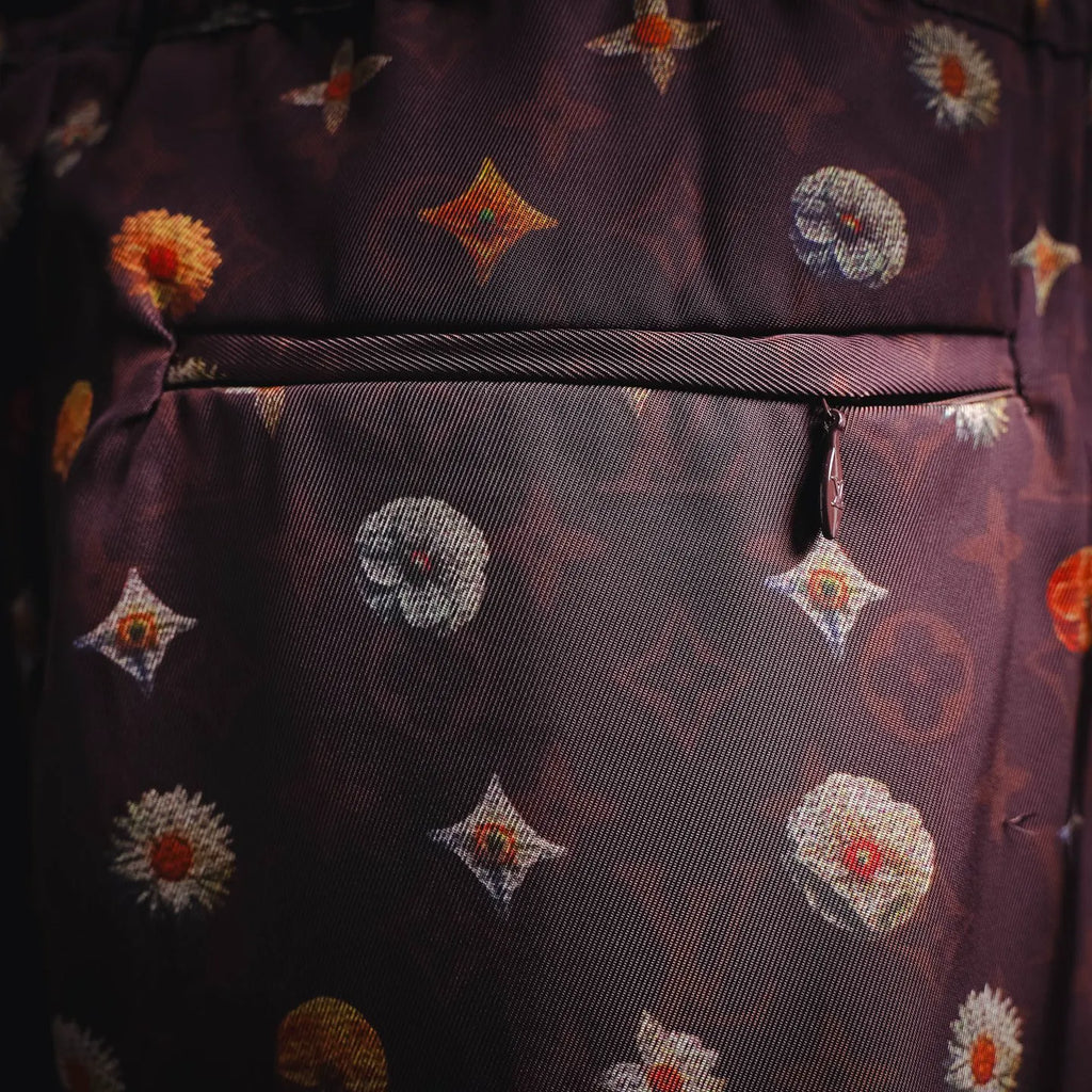 Clothes LV pants