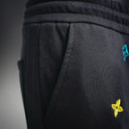 Clothes LV pants