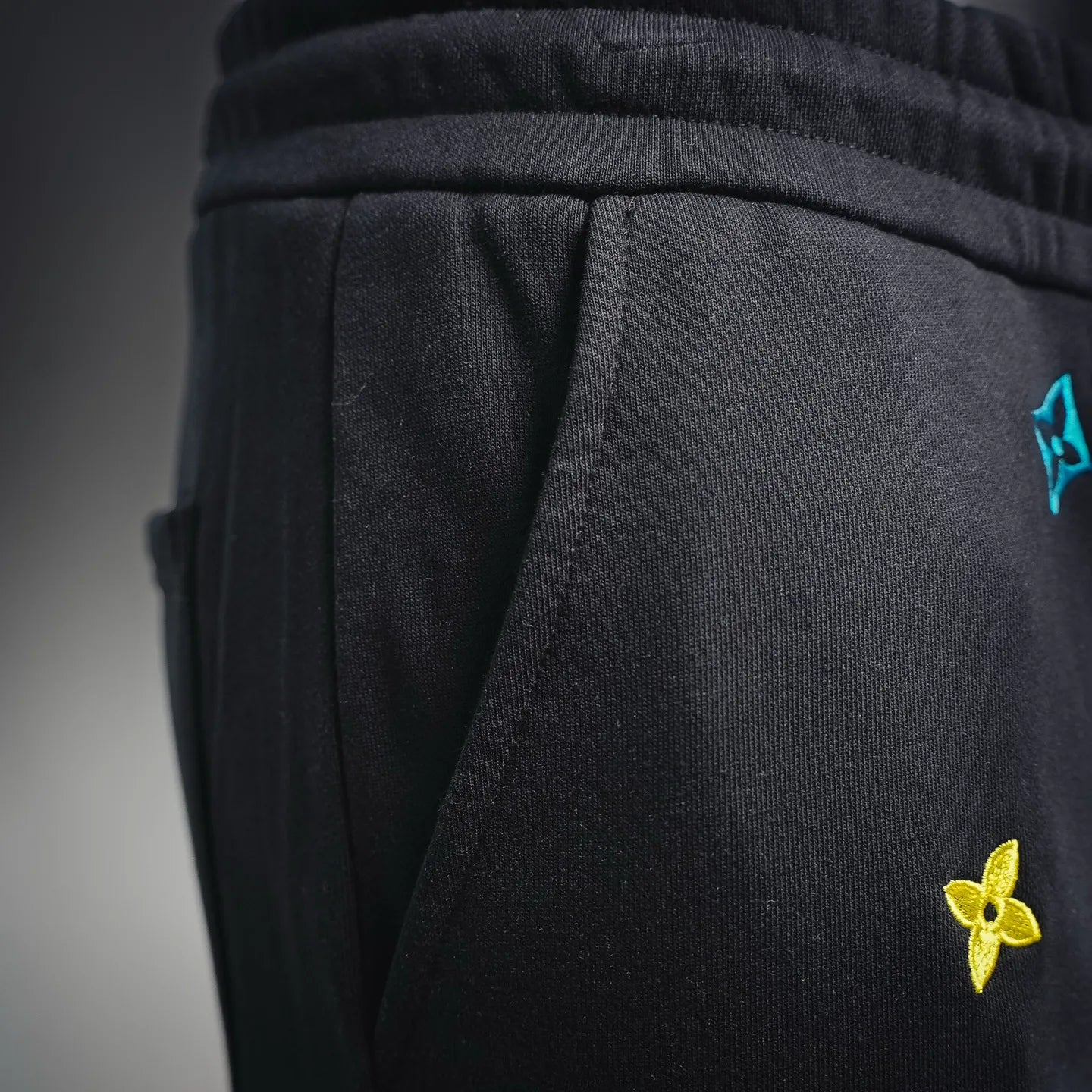 Clothes LV pants