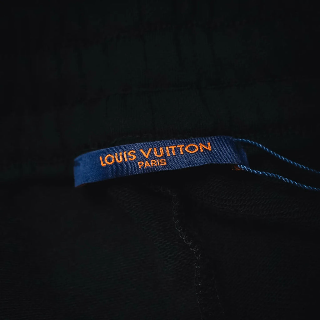 Clothes LV pants