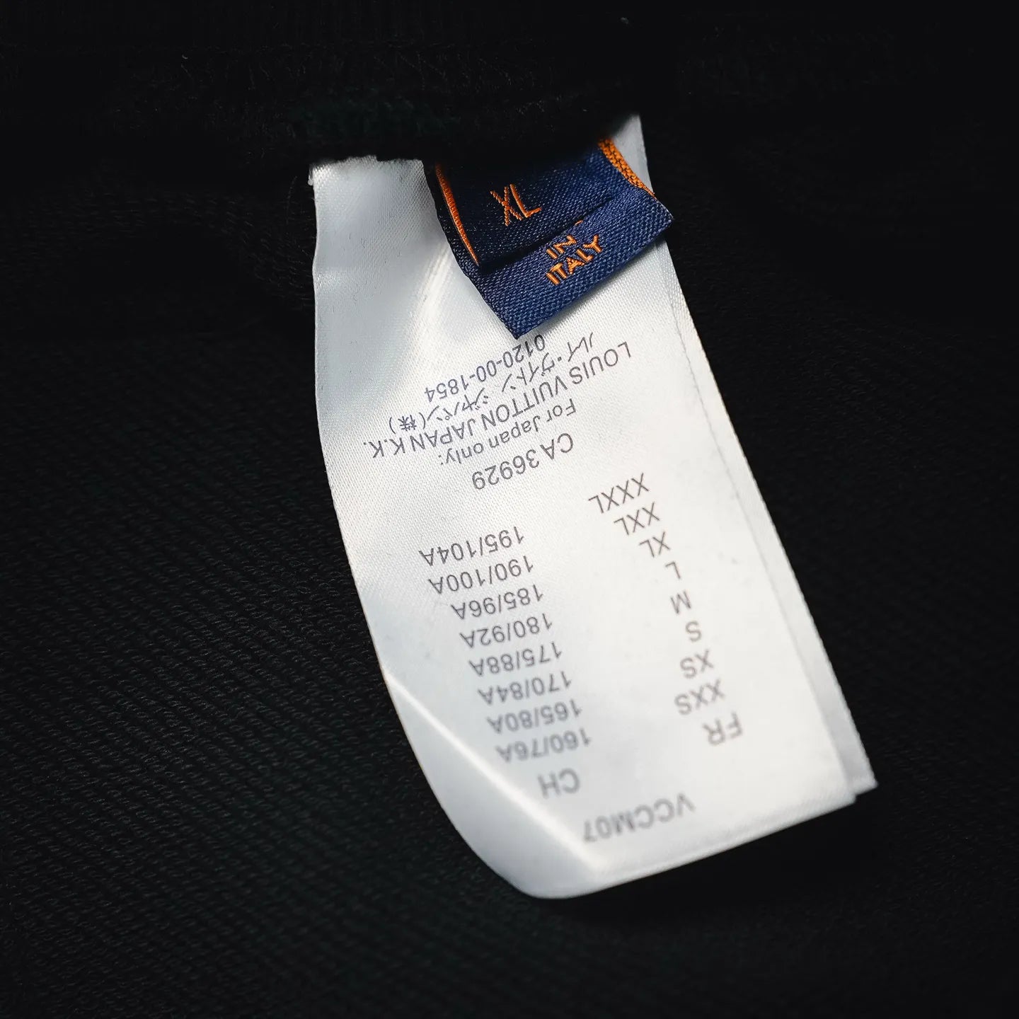 Clothes LV pants