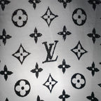 Louis Vuitton Clothes short