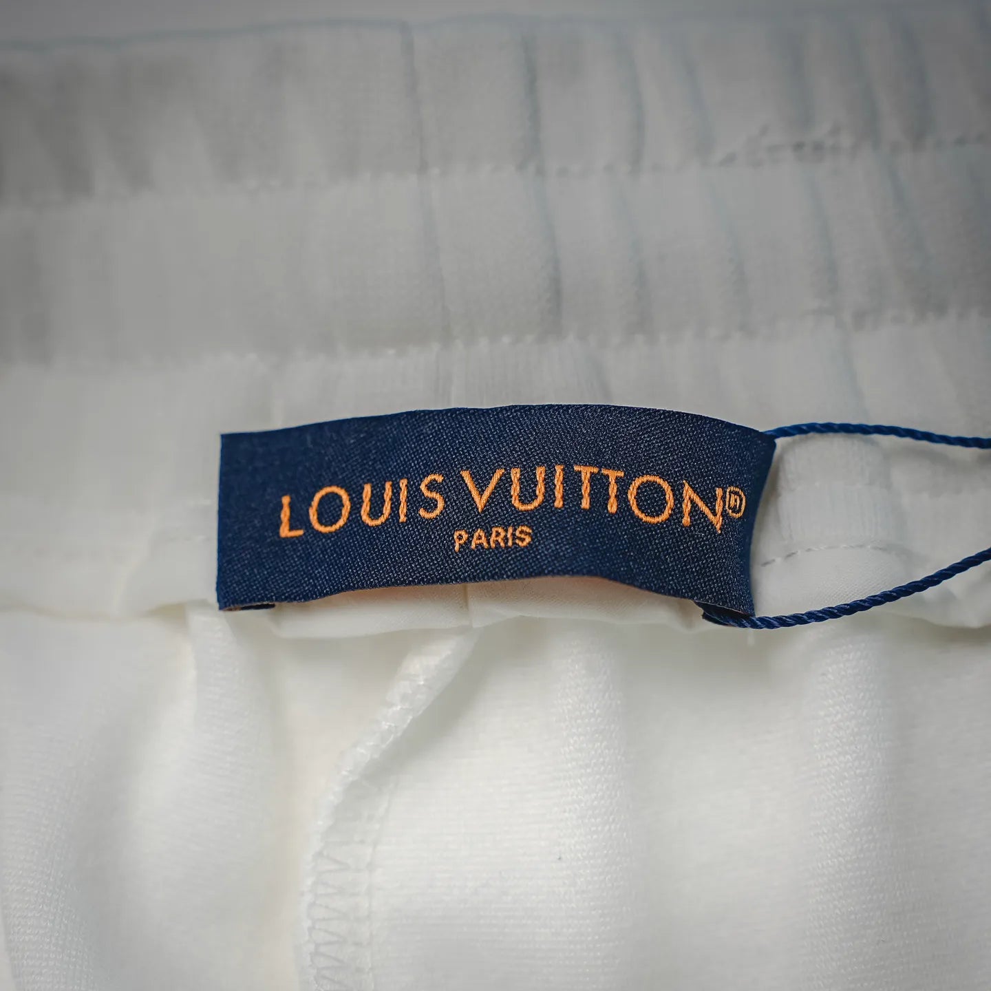 Clothes LV pants