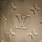 Clothes LV pants