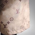 Clothes LV pants