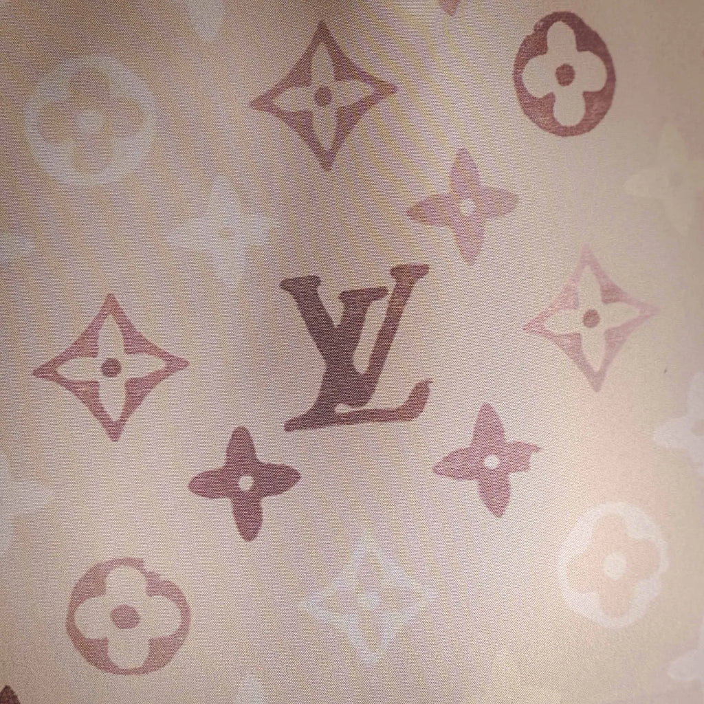 Clothes LV pants