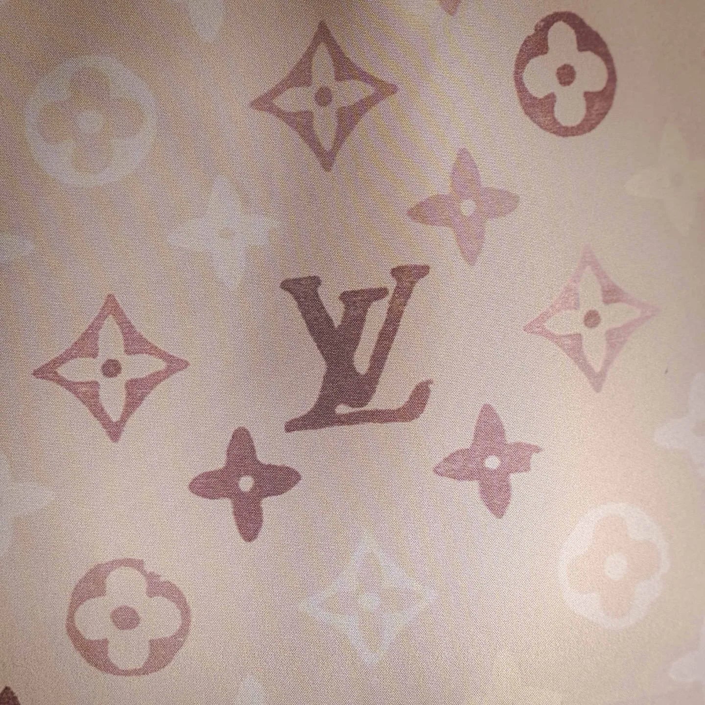 Clothes LV pants