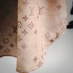 Louis Vuitton Clothes short