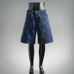 Clothes LV pants