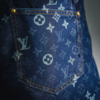 Clothes LV pants