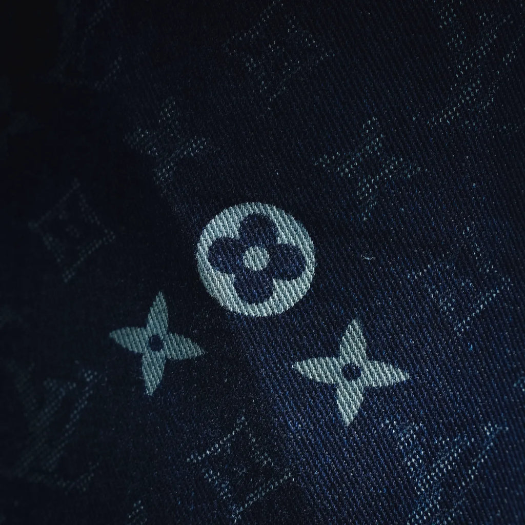 Clothes LV pants