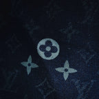 Clothes LV pants
