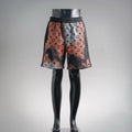 Clothes LV pants