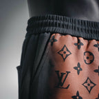 Clothes LV pants