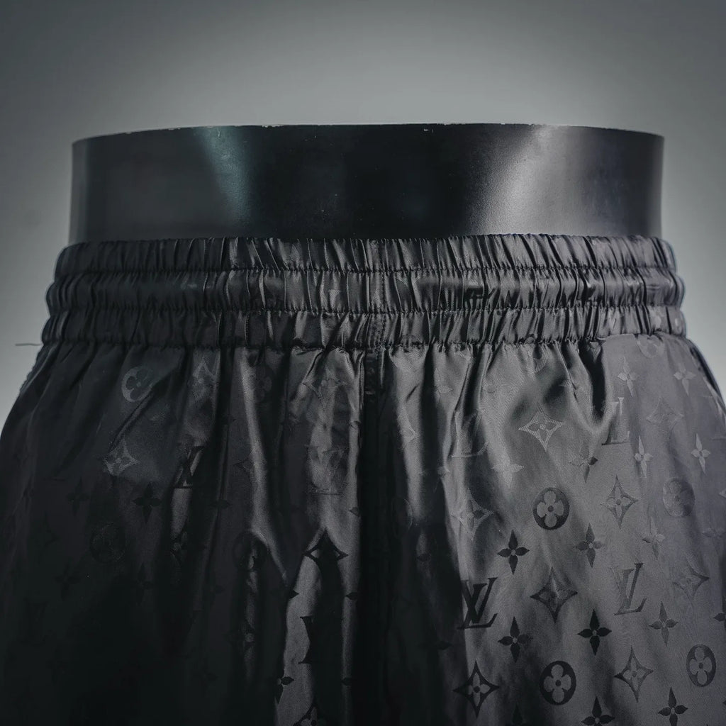 Clothes LV pants