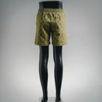 Clothes LV pants