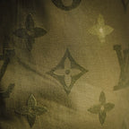 Clothes LV pants