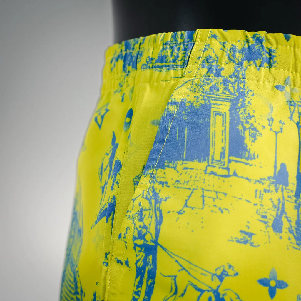 Clothes LV pants