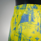 Clothes LV pants
