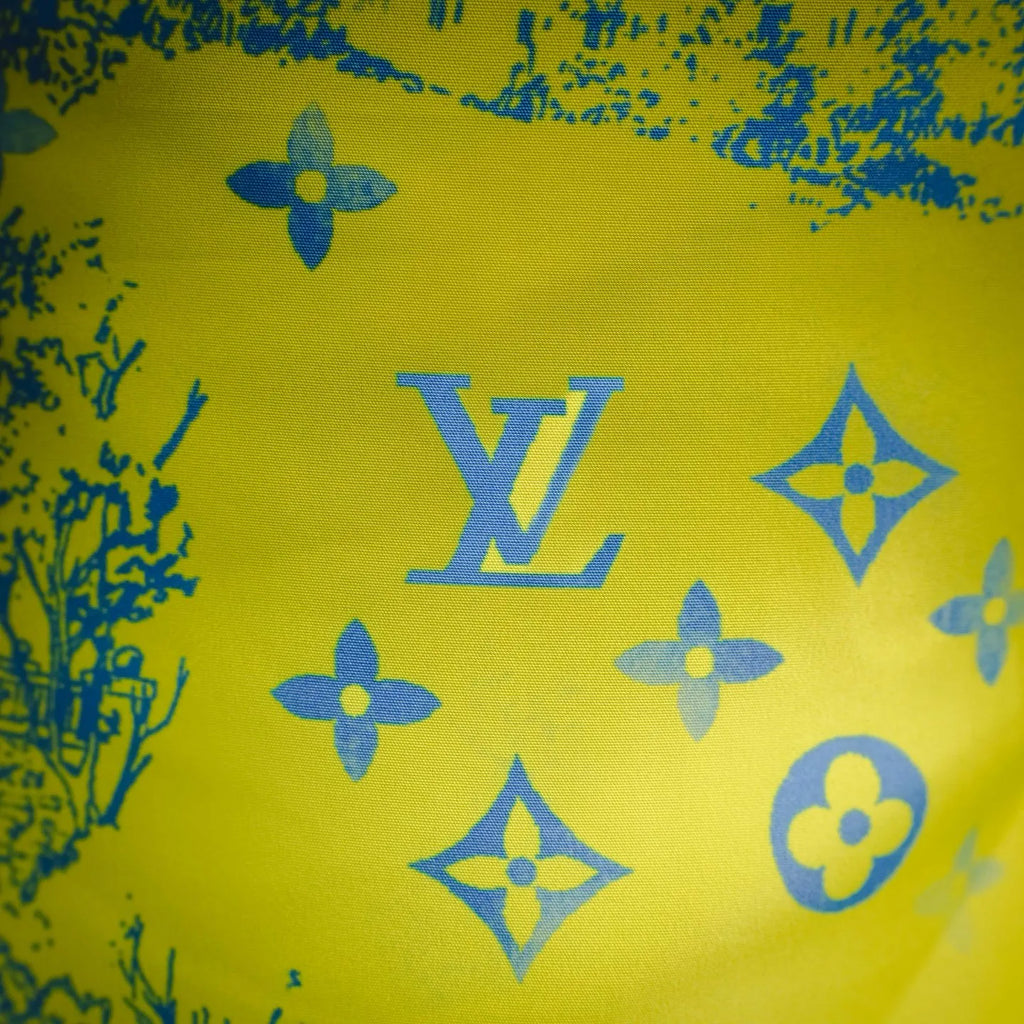 Clothes LV pants