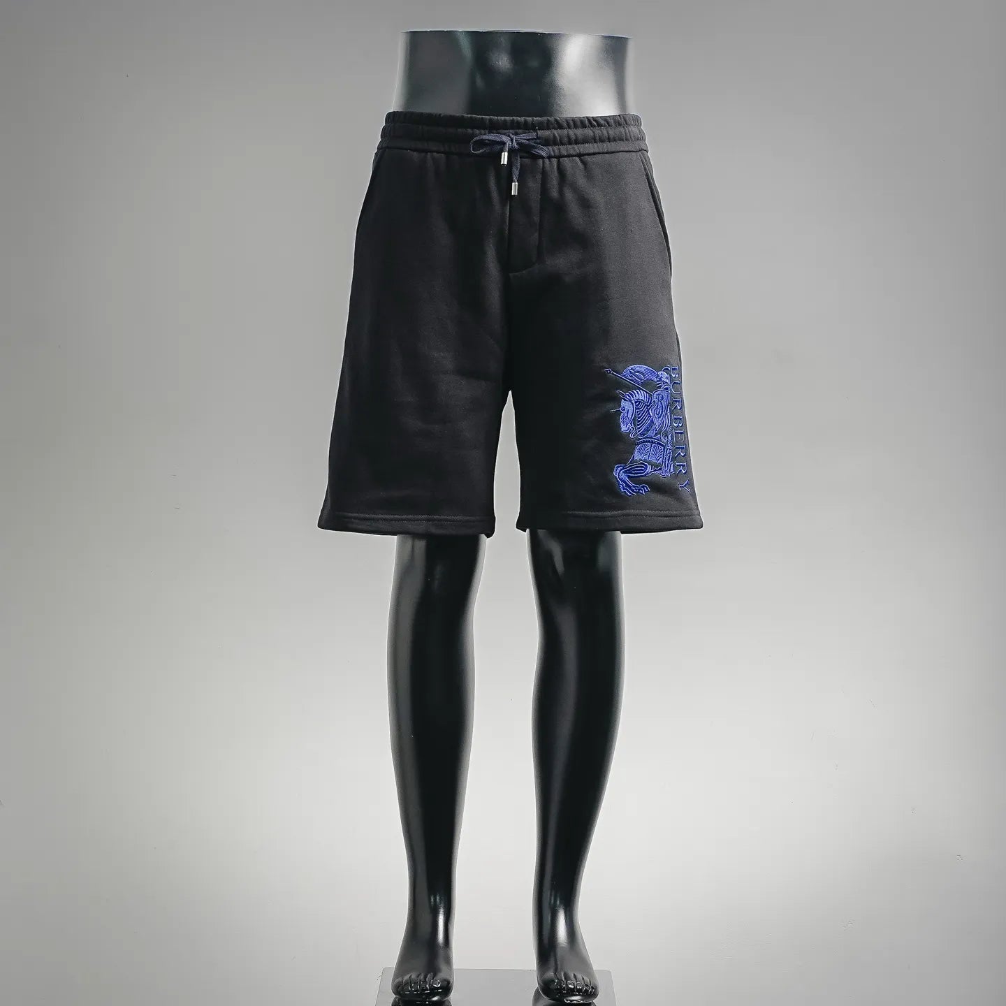 Clothes Burberry Pants