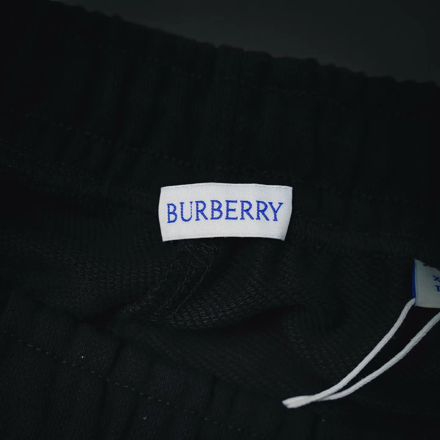 Clothes Burberry Pants