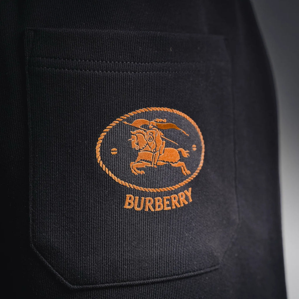 Clothes Burberry Pants