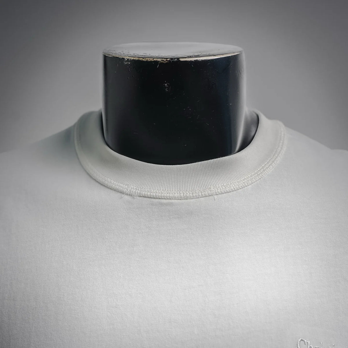 White crewneck T-shirt neckline close-up with small chest Dior logo