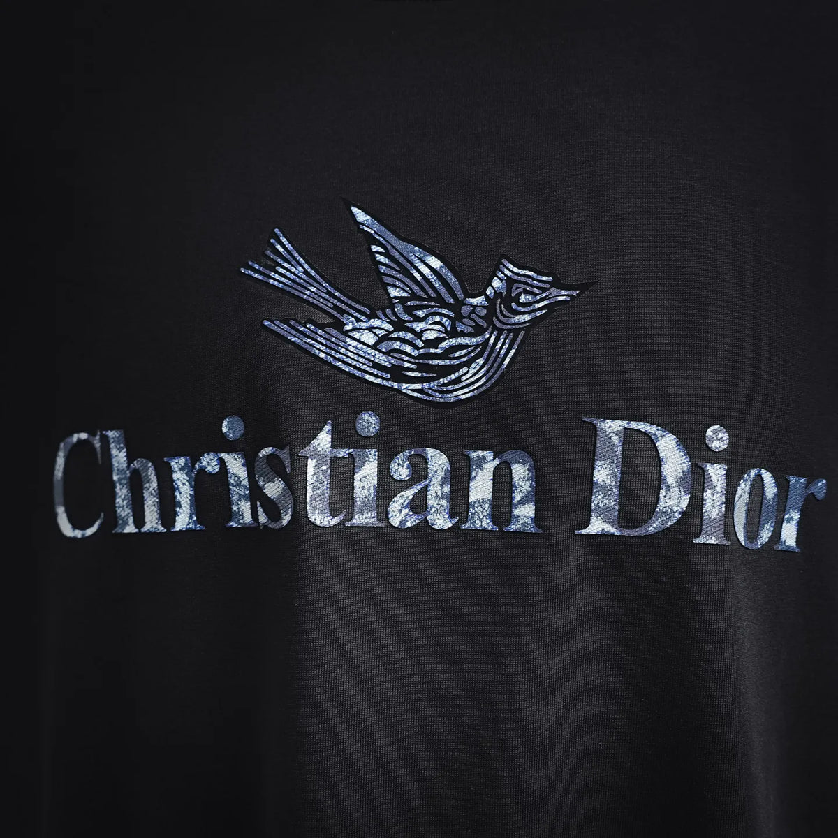 Black Dior T-shirt close-up of embroidered-style bird emblem and Christian Dior text