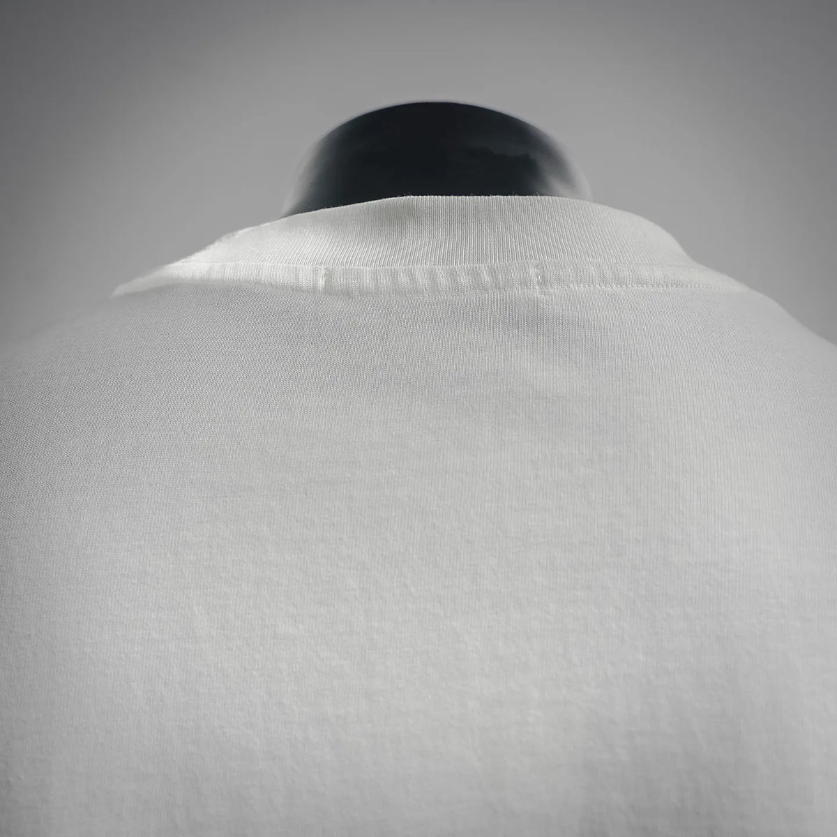 White Dior short-sleeve T-shirt back view with rounded hem and crew neck