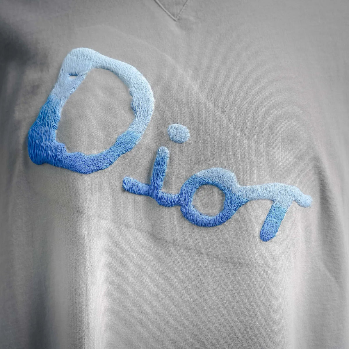 White T-shirt chest close-up with blue 'Dior' embroidery