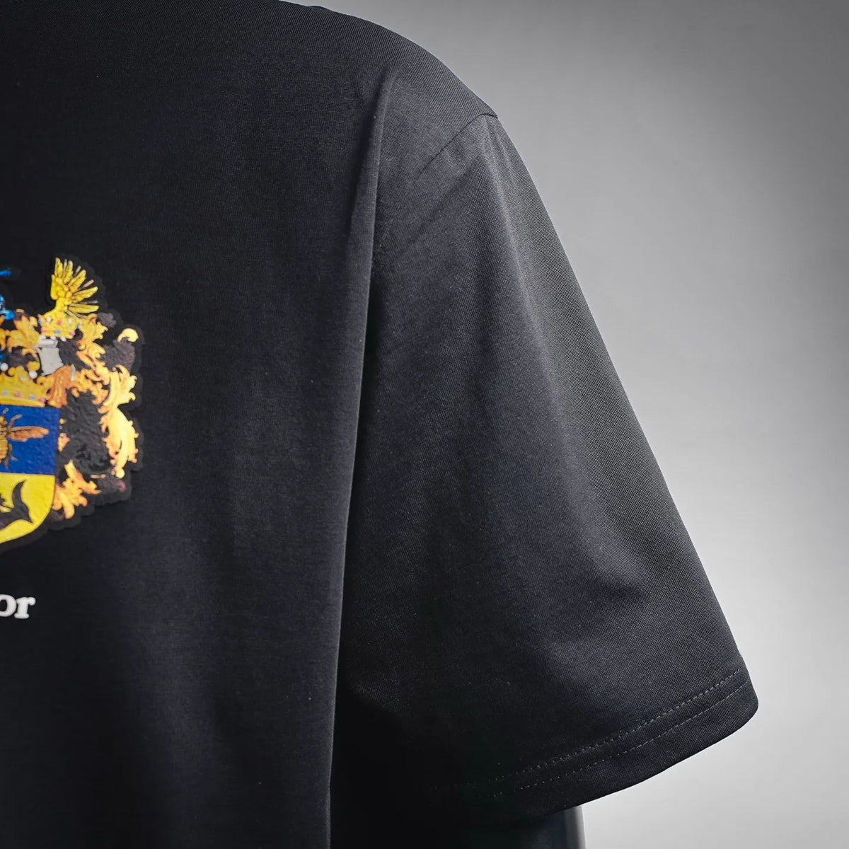 Dior short-sleeve T-shirt sleeve and side, with partial embroidered crest on chest