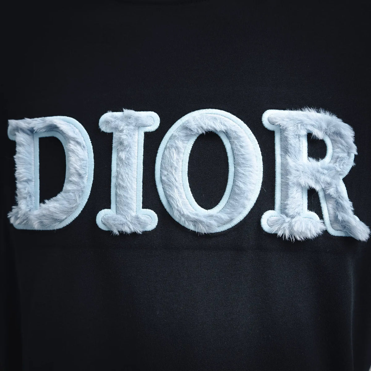 Dior T-shirt front close-up showing fluffy light DIOR logo embroidery