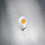 White T-shirt close-up of daisy embroidery on back panel