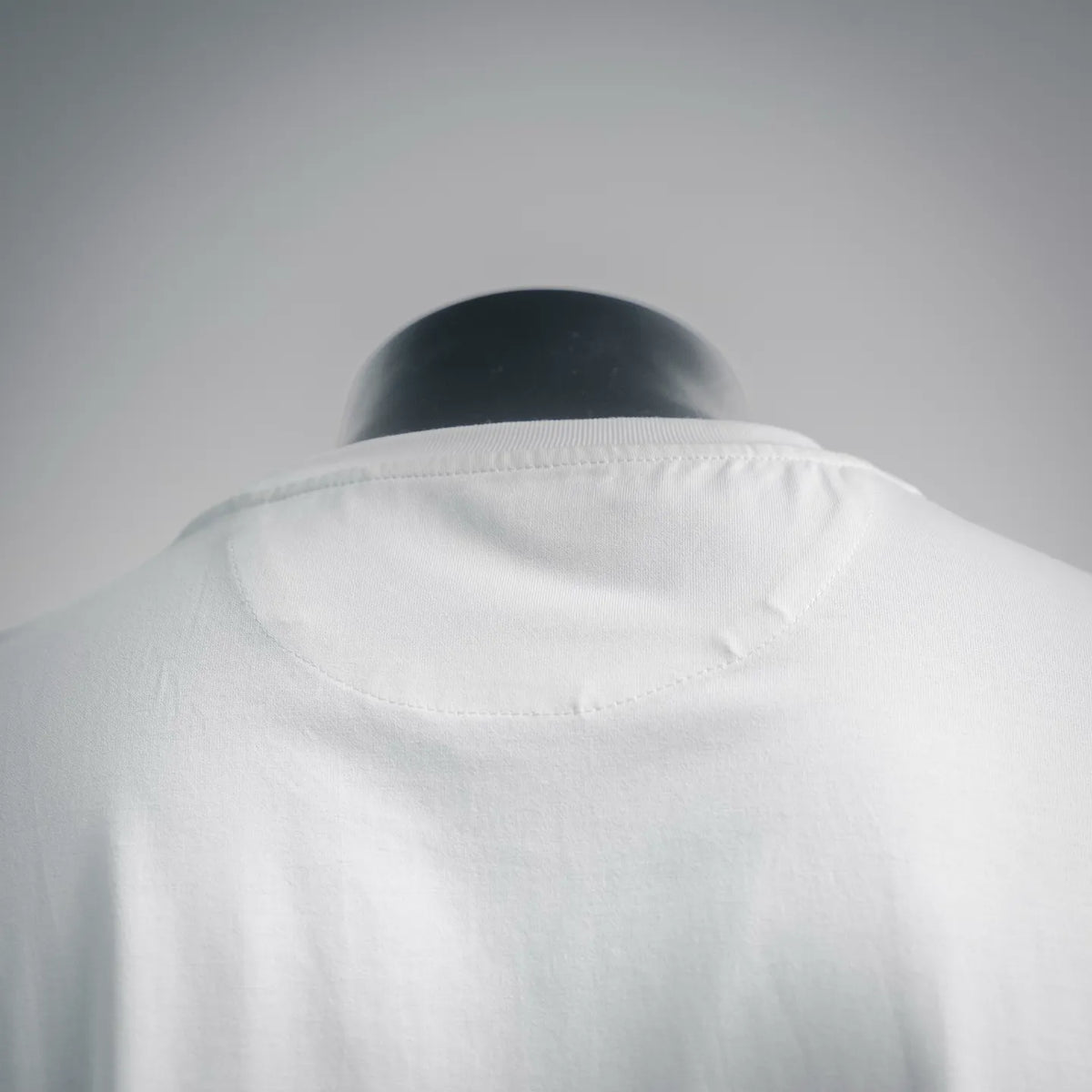 White T-shirt back view with crew neck and smooth fabric