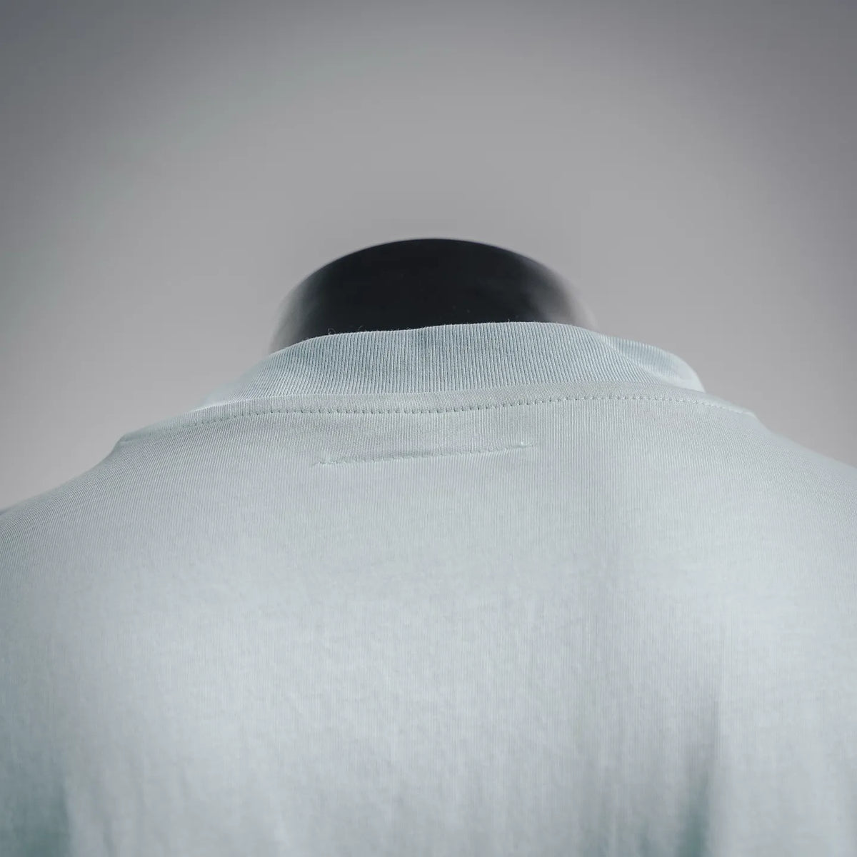 Light blue T-shirt with ribbed crew neck, back view