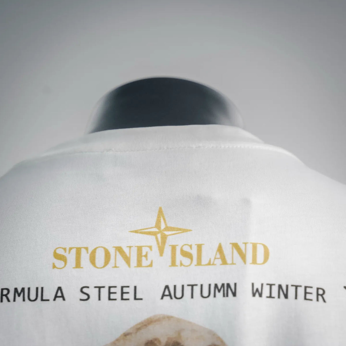 White T-shirt back logo with gold Stone Island star and season text