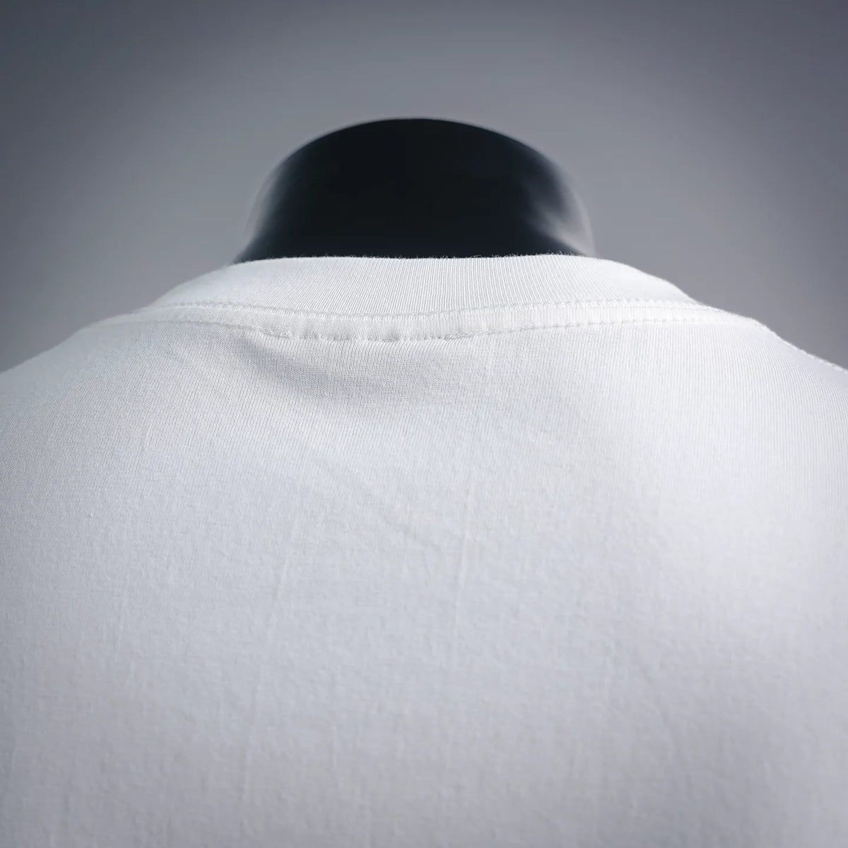 White crewneck T-shirt back view with stitched collar
