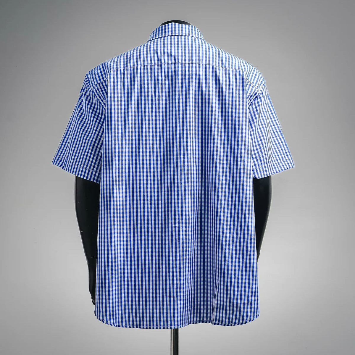 Blue and white gingham short-sleeve shirt, back view