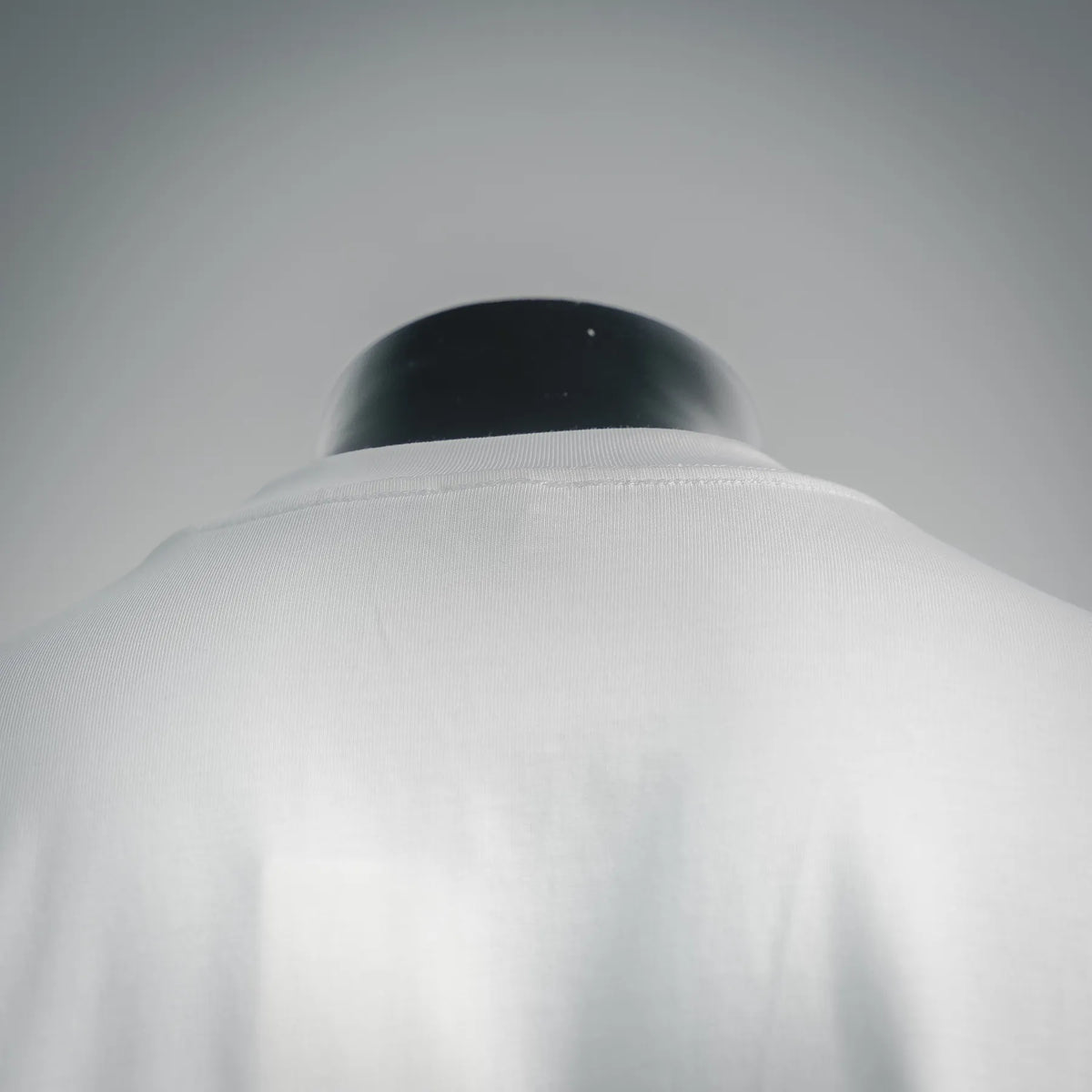 White LOEWE short-sleeve T-shirt back collar area on mannequin